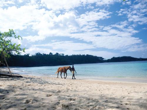 The Trident Hotel – Port Antonio