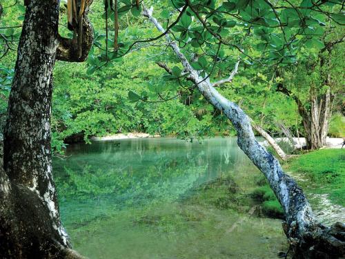 The Trident Hotel – Port Antonio