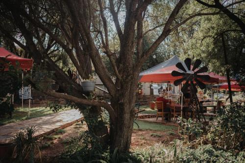 Pretorius Park, Hartbeespoort (zdjęcie 9)