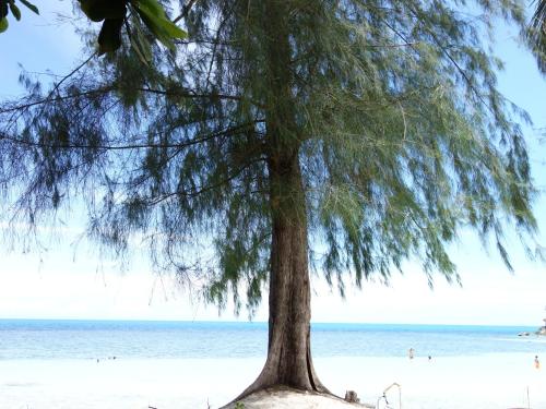 Secret Beach Bungalows