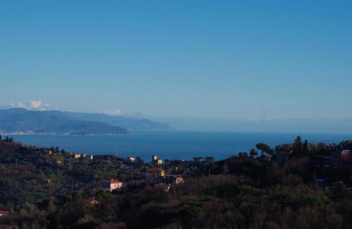 Monolocale Fattorialmare Viola - Apartment - Camogli