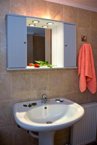 One Bedroom Apartment with Sea View image 4