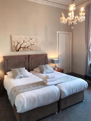 B&B Edinburgh - Alexander Guest House - Bed and Breakfast Edinburgh