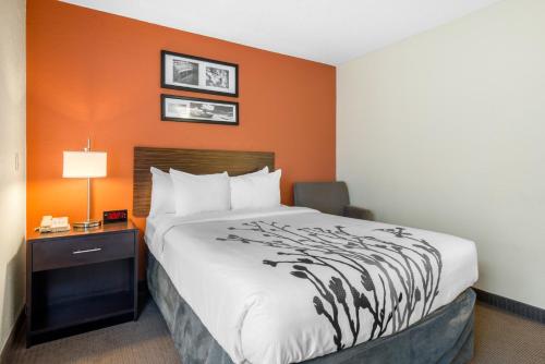 Sleep Inn Sarasota North - image 13