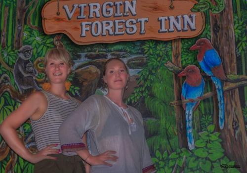 Virgin Forest Inn