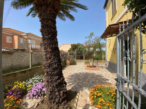 B&B "La Bouganville 1" gîte à louer Maida Marina