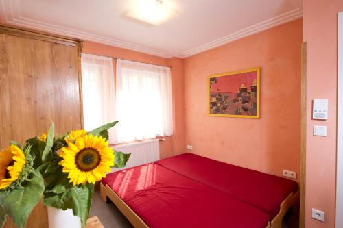 Standard Apartment image 8