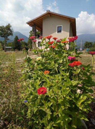 SEMI AL VENTO: la bio-casa nel giardino incantato!