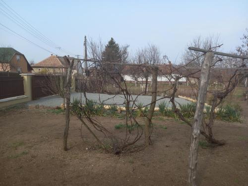 Garden, GALAMBLAK Vendeghaz in Abaújszántó