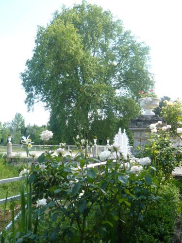 Chateau de Juvigny