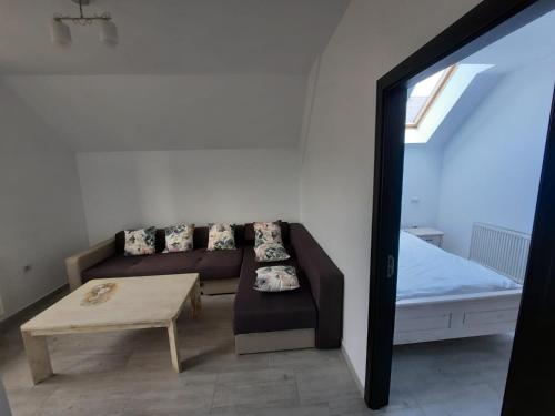 Casa de oaspeti Maximilian