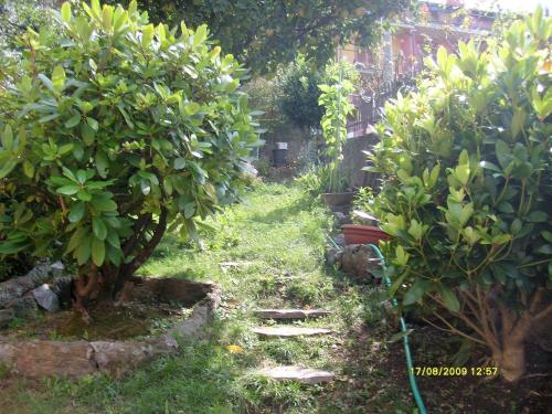  House Yanina in Bellano