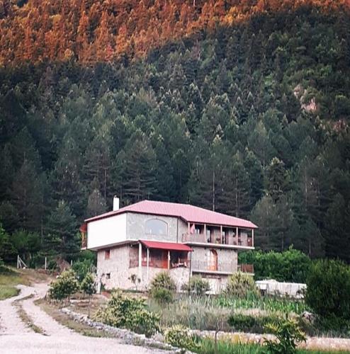 Bujtina Vila Dodo in Germenj