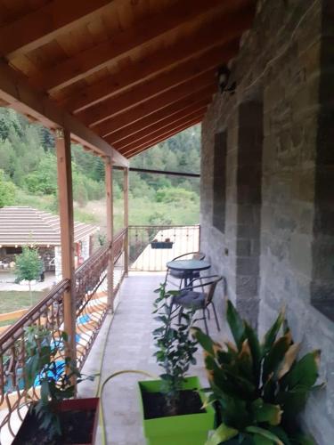 Bujtina Vila Dodo in Germenj