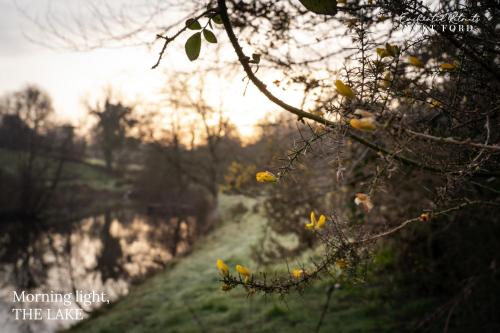 Enchanted Retreats at West Ford Devon