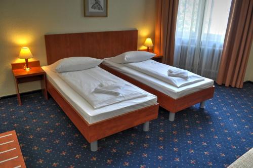 Hotel Europa City - image 13