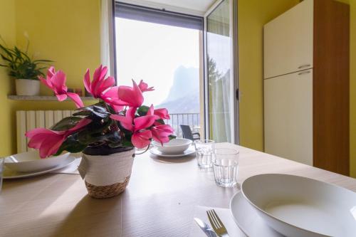 B&B Lecco - La Pineta - Le Casette di Osvaldo - Bed and Breakfast Lecco