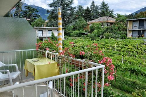 Hotel Zima – Merano, MS