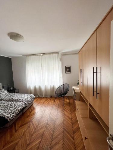 Kopernik - parking available