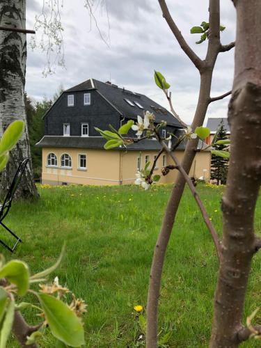 . Villa Hainberg