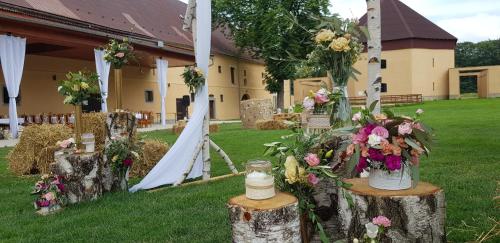 Garden, Zamecky Dvur Cernousy in Frydlant