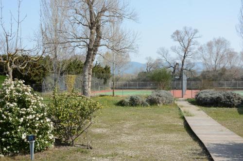 Camping - La Roque-d'Anthéron - Provence-Alpes-Côte d'Azur - Domaine des Iscles 164 - Image #4