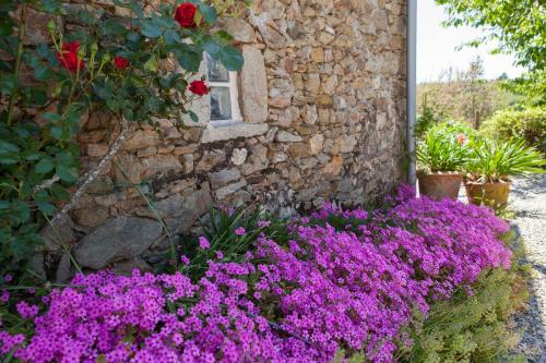 B&B Fleur de Lys Bleue