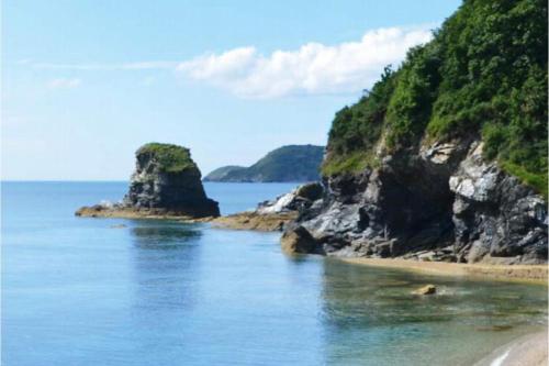 Antonia's Pearls - image 5