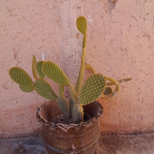 Dar Timitar Dar Timitar