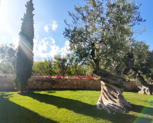 Hotel Torre Santamaria Resort - image 5