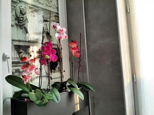 Welcome Verona Rooms, Verona (foto 10)