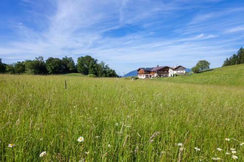 Ferienwohnungen Gästehaus Lärcheck