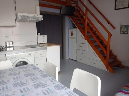 Escapada a l'Estartit - Argonavis in Els Griells