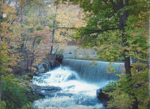 Cottage at Millpond Falls - A Romantic Escape