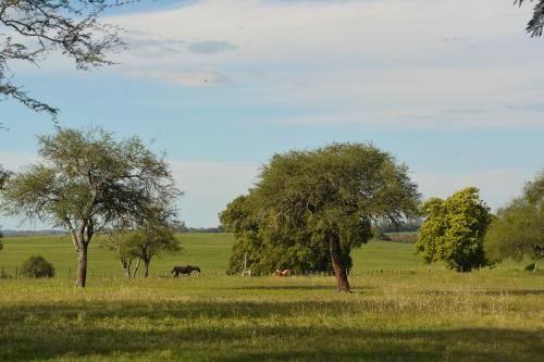 Estancia El Cangue