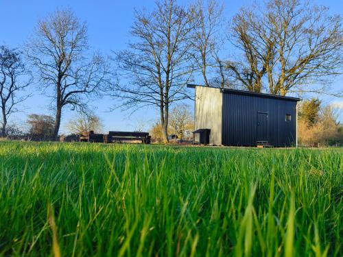 The Water Shack - Amazing tiny house retreat 1