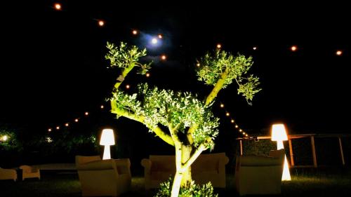 Hotel Sotto Il Cielo - image 9