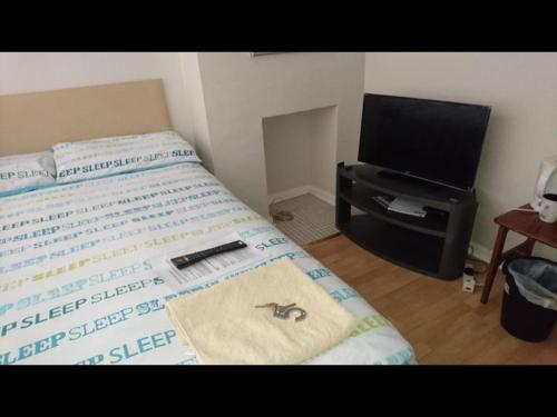 Room in Guest room - Family Room Sleeps 3 with 1 double and 1 single bed Ground Floor Private shower - image 8