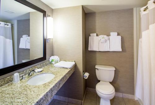 Holiday Inn Express Hotel & Suites Auburn, an IHG Hotel