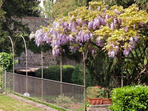 B&B Entro Le Mura - image 13