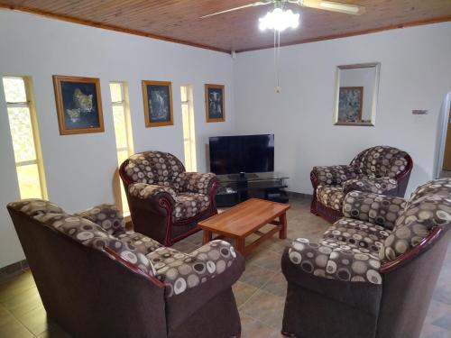 Albatros@21 Albatros@21