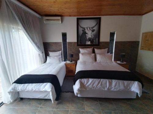 Albatros@21 Albatros@21