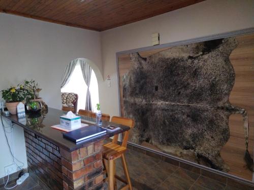 Albatros@21 Albatros@21