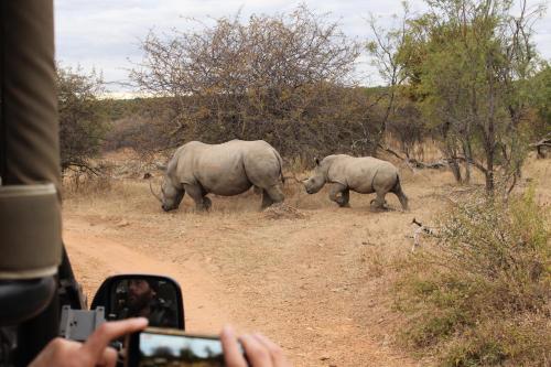 Tamboti Bush Lodge