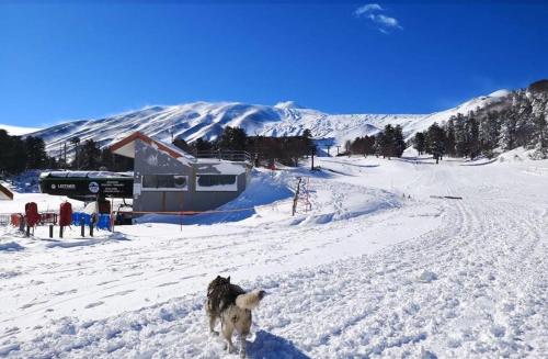 B&B BOUTIQUE DI CHARME "ETNA-RELAX-NATURA"