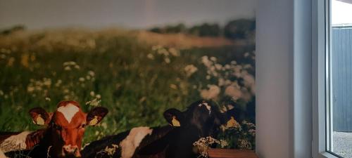 La vache au lit in Damme