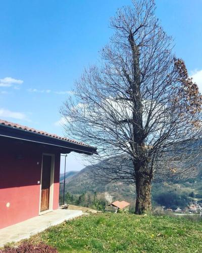 Le camere dei castagni chambre d'hôte Brossasco