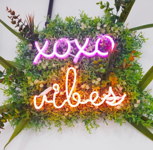 XOXO - Arco, Ponferrada (foto 8)