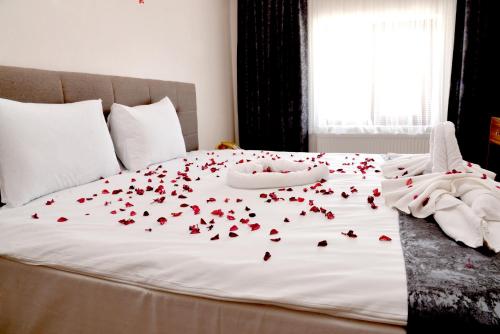Zümrüt Palas Otel (Zumrut Palas Otel) in Hisarcık Erciyes