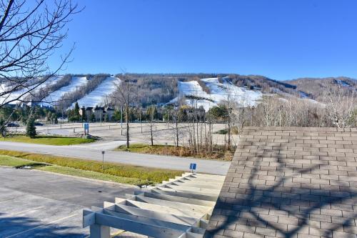 Wintergreen 127, Blue Mountains (photo 3)